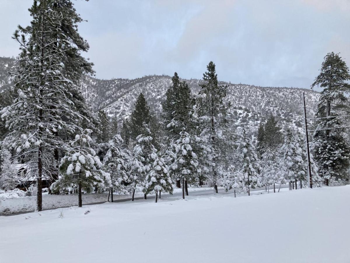The Old Bear Bnb Pine Mountain Club Екстериор снимка
