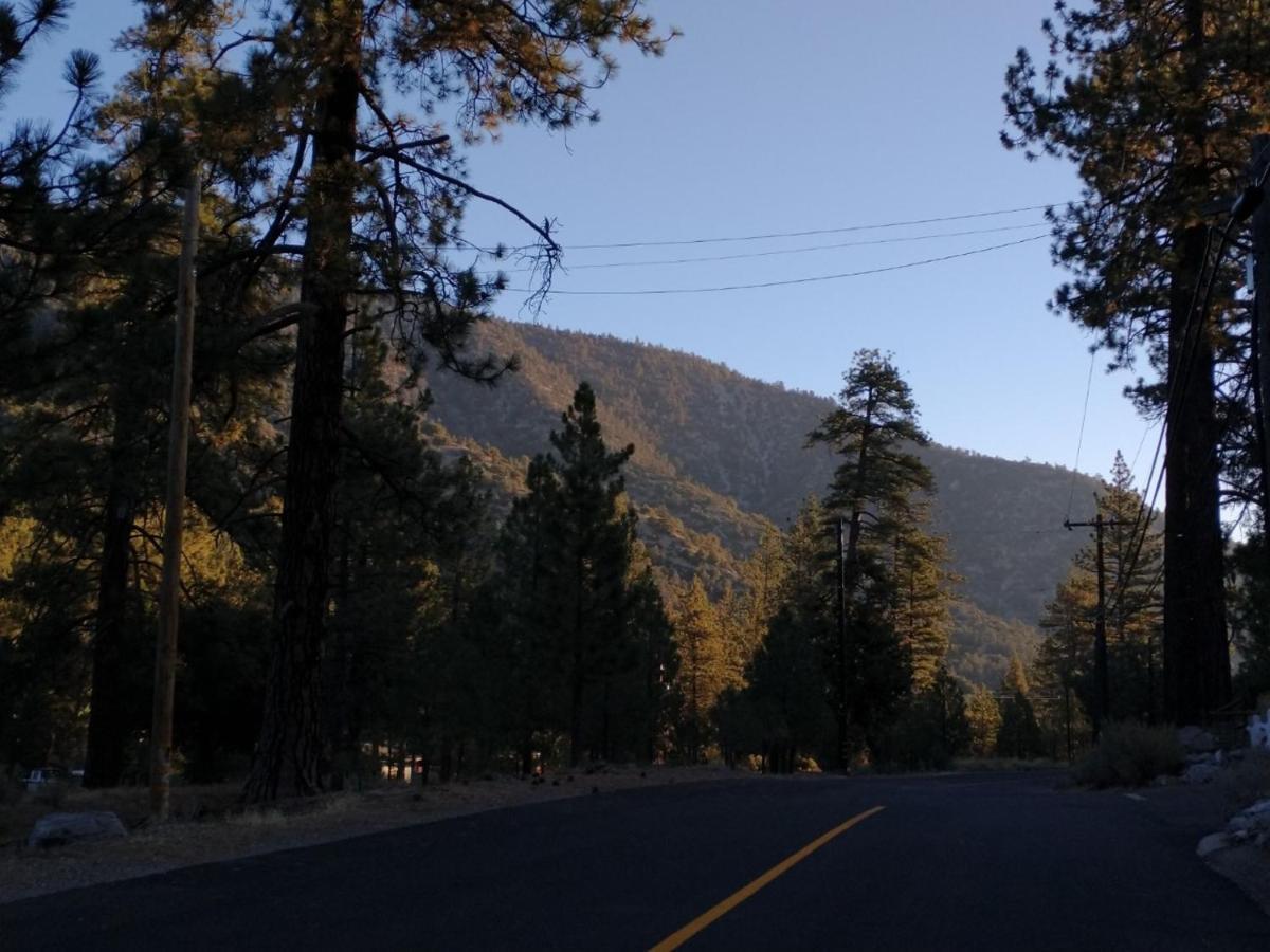 The Old Bear Bnb Pine Mountain Club Екстериор снимка