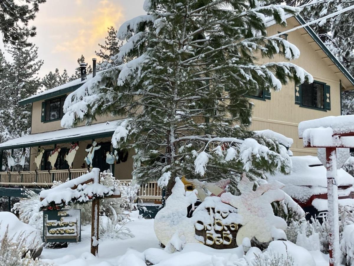 The Old Bear Bnb Pine Mountain Club Екстериор снимка